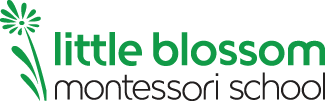 Little Blossom Montessori School